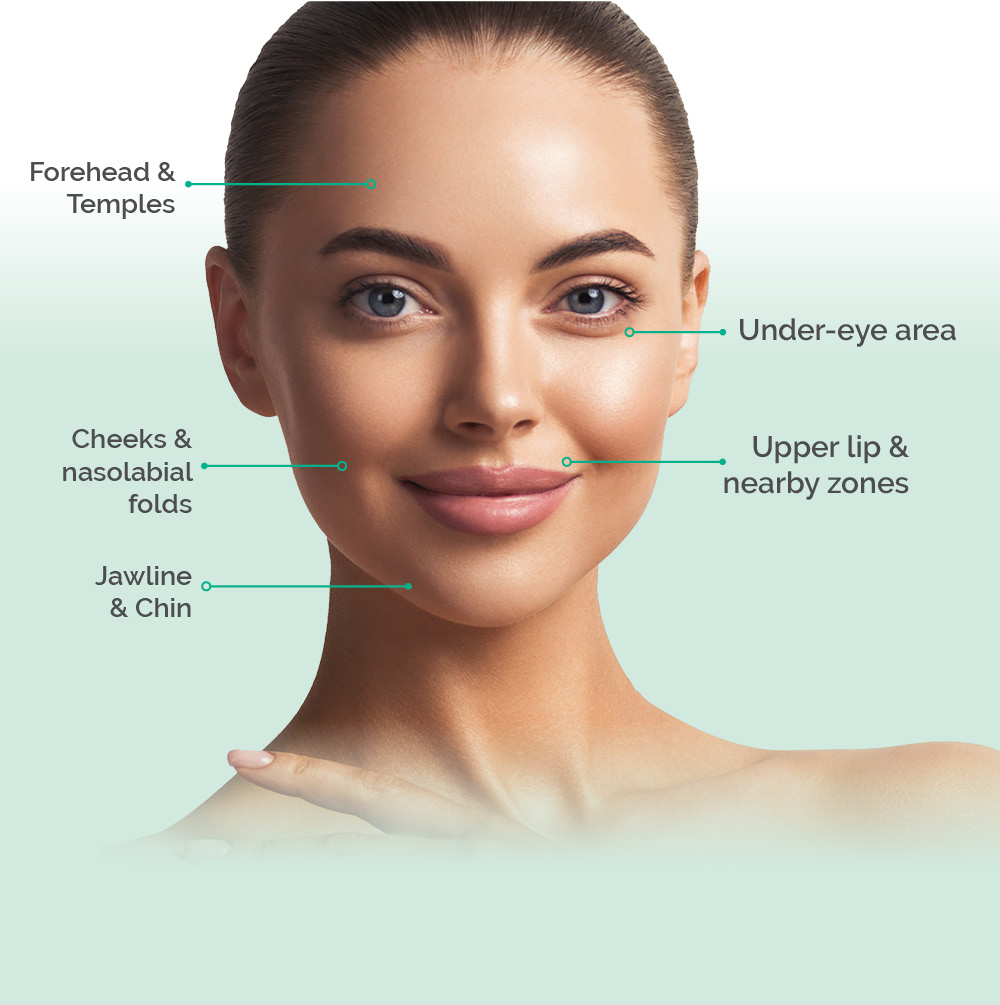 Updated Areas Eye Light Addresses Eye Light