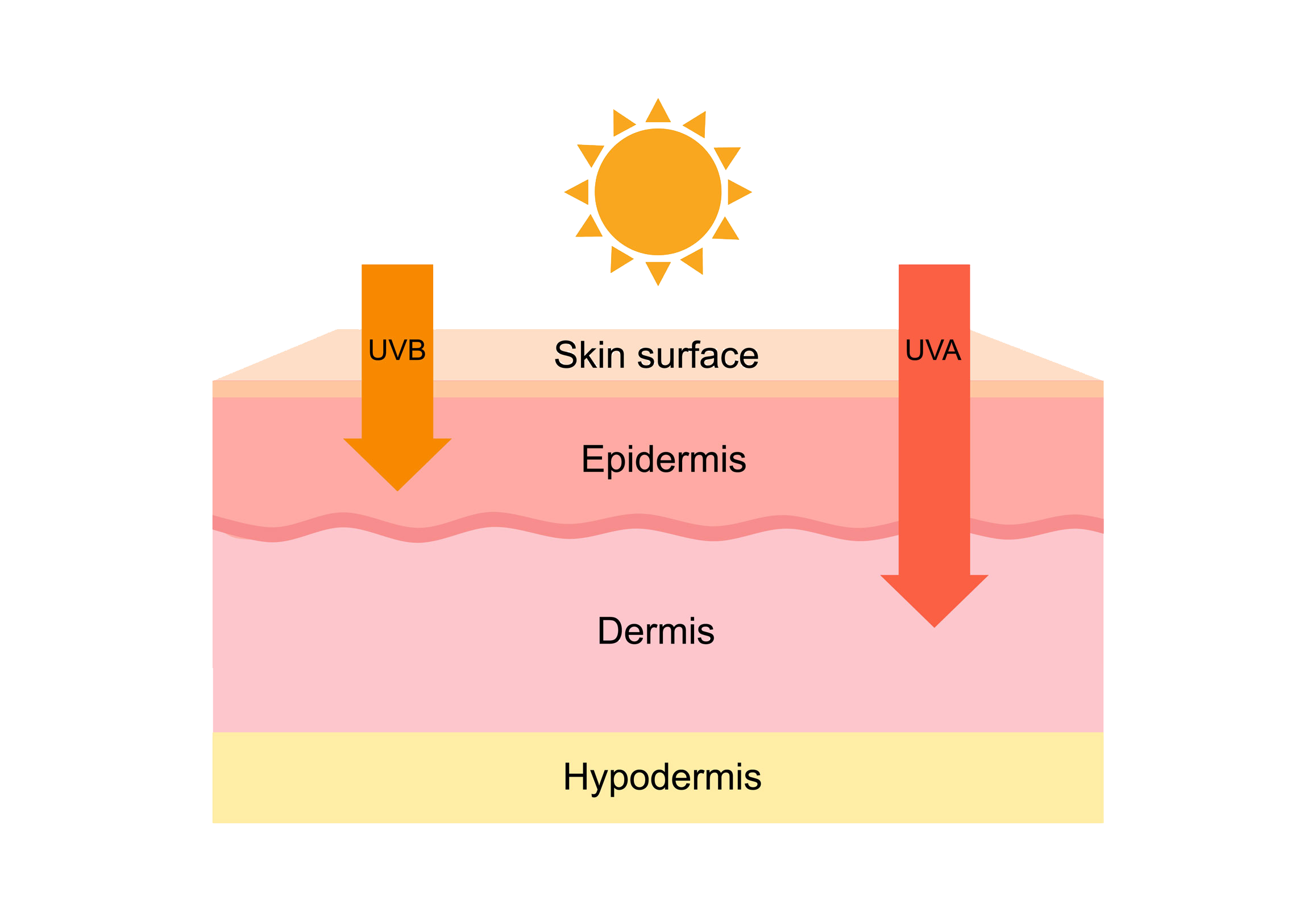 Sun Exposure